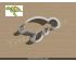 Sea Turtle Cookie Cutter. Animal Cookie Cutter