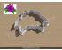 Hawaii Flower Cookie Cutter. Flower Cookie Cutter