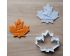 Snowboarding Cookie Cutter and Stamp Set. Canada Cookie Cutter