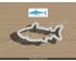 Shark Cookie Cutter. Animal Cookie Cutter