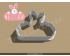 Bunny Plaque Cookie Cutter. Easter Cookie Cutter