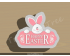 Bunny Plaque Cookie Cutter. Easter Cookie Cutter