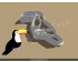 Toucan Cookie Cutter. Bird Cookie Cutter