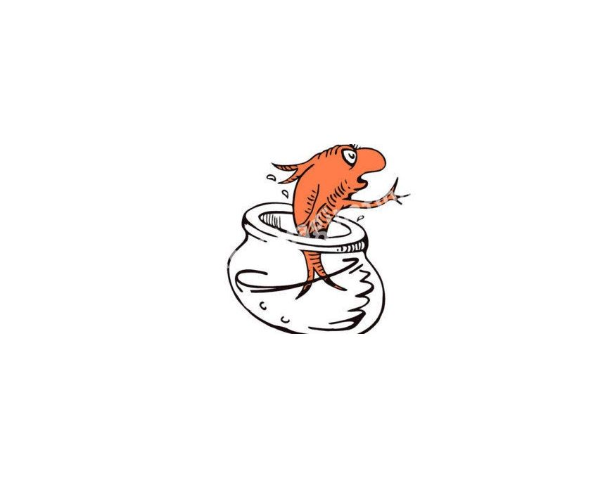 Fish in pot Cookie Cutter and Stamp Set. Animal Cookie Cutter