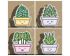 House Plant Collection Cookie Cutter. Plant Cookie Cutter. 
