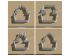 House Plant Collection Cookie Cutter. Plant Cookie Cutter. 