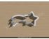 Rainbow Star Cookie Cutter. Unique Cookie Cutter