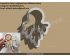 Wilderly Bakery Dream catcher Cookie Cutter. Dream catcher Cookie Cutter