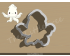Cute Squid Cookie Cutter.  Animal Cookie Cutter