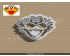 Zoe Detailed Cookie Cutter. Cartoon Cookie Cutter. Sesame Street Cookie Cutter