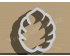 Leaf Style 4 Cookie Cutter.Unique Cookie Cutter